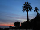 Nice, France, winter sunset over the hills and their palmtrees